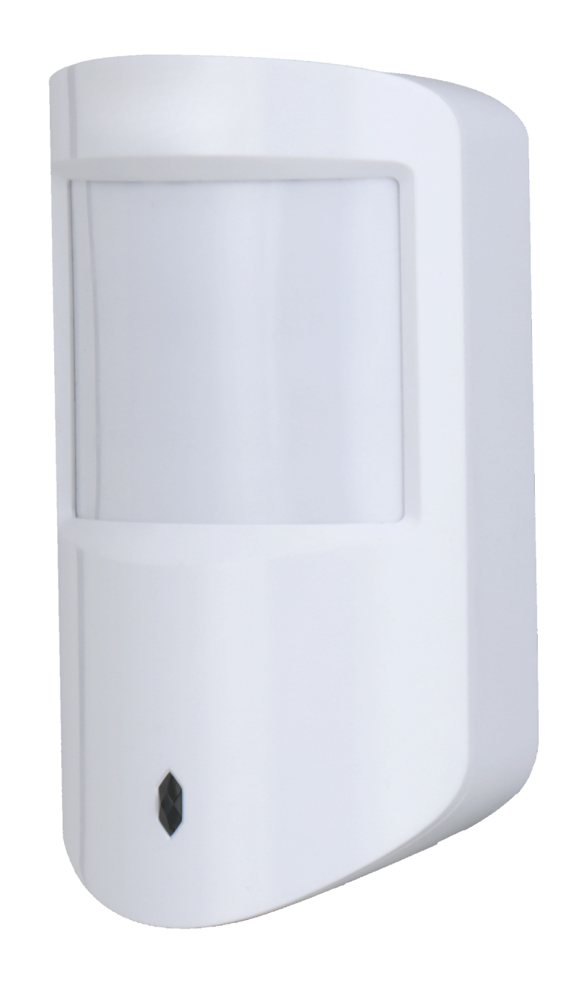 Motion Detectors